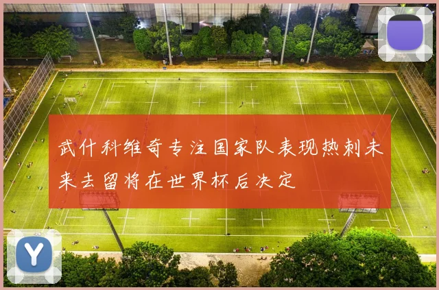 武什科维奇专注国家队表现热刺未来去留将在世界杯后决定